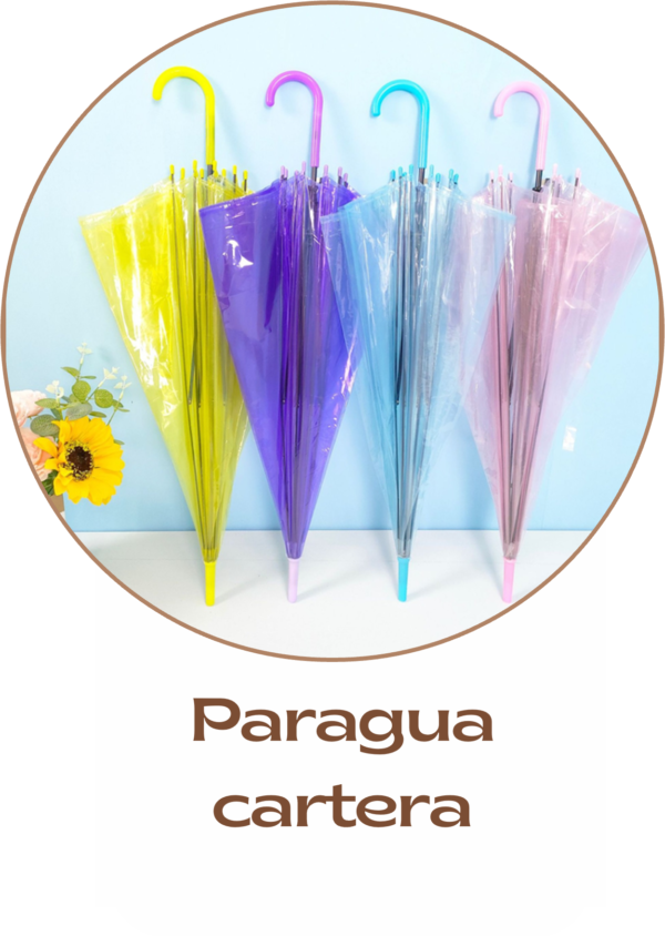 Paragua  cartera 2